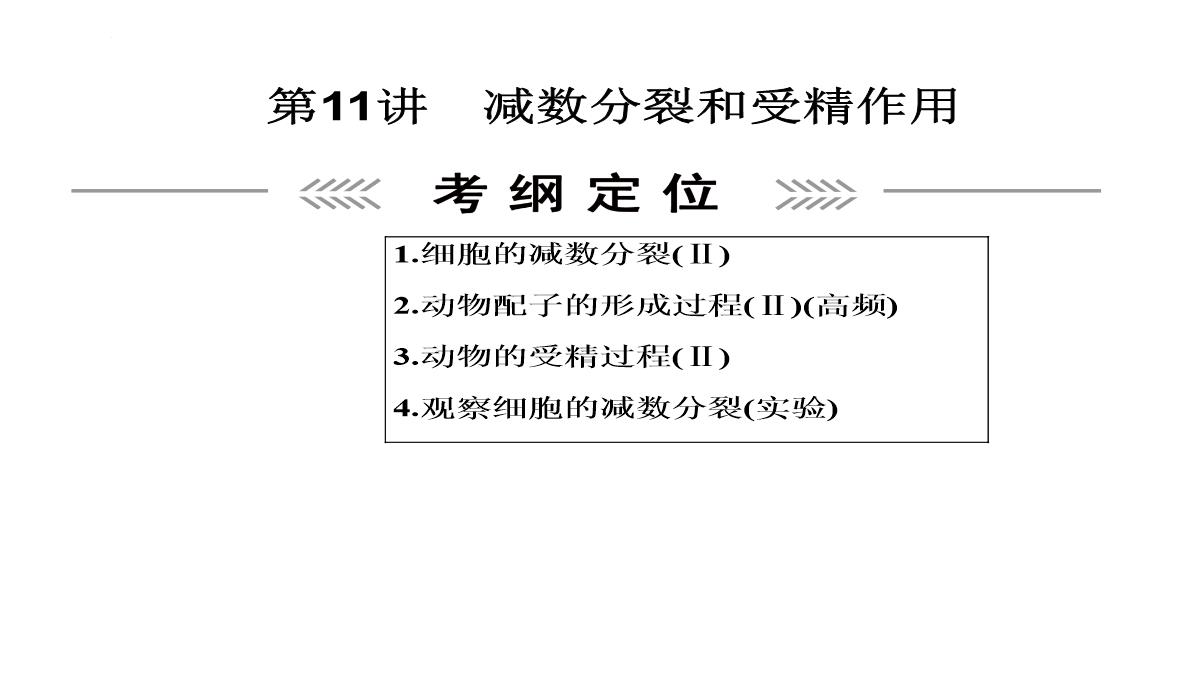 高三一轮复习生物课件：第11讲减数分裂和受精作用PPT模板_02