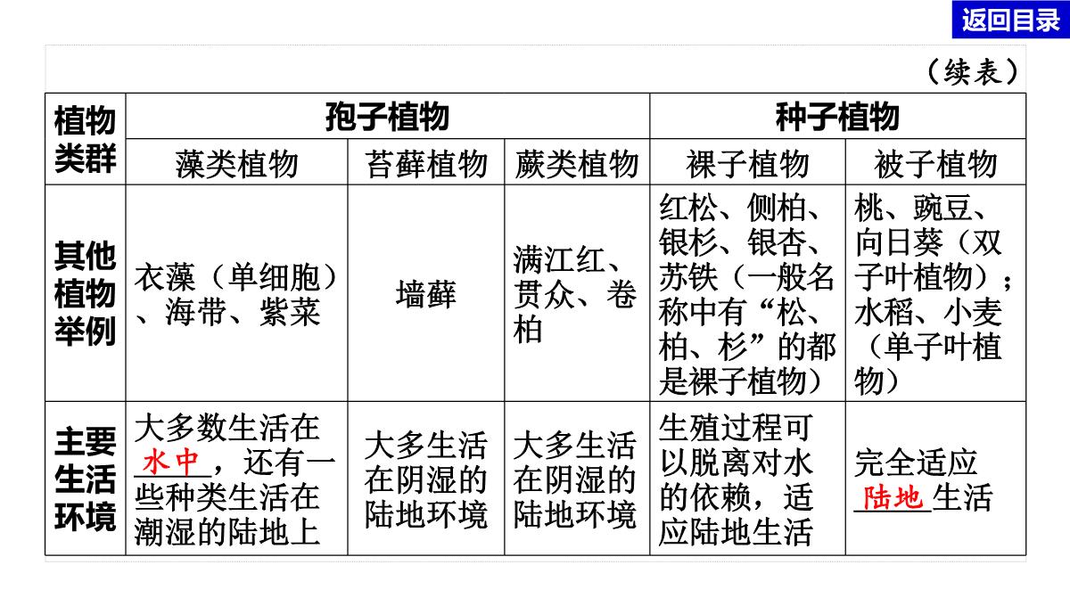 2022年中考生物总复习主题七生物的多样性-专题一生物圈中有哪些绿色植物PPT模板_07