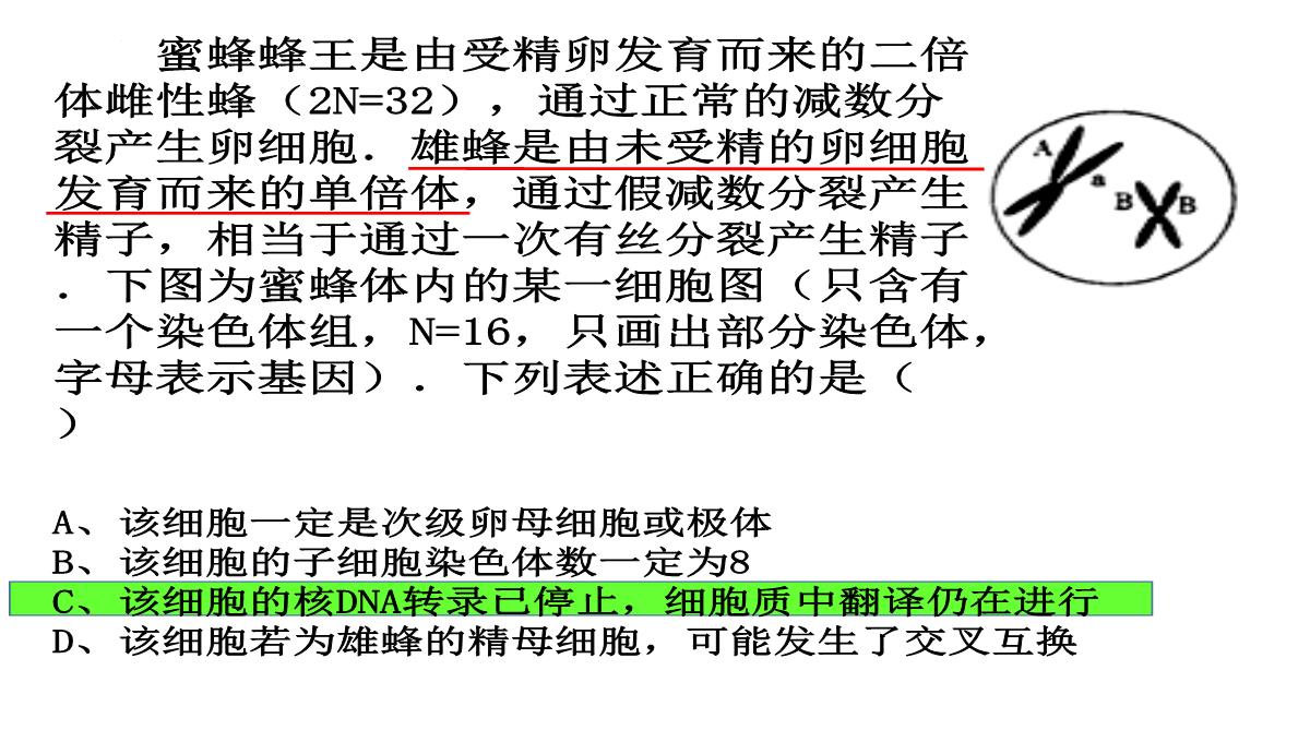 高三一轮复习生物课件：第11讲减数分裂和受精作用PPT模板_34