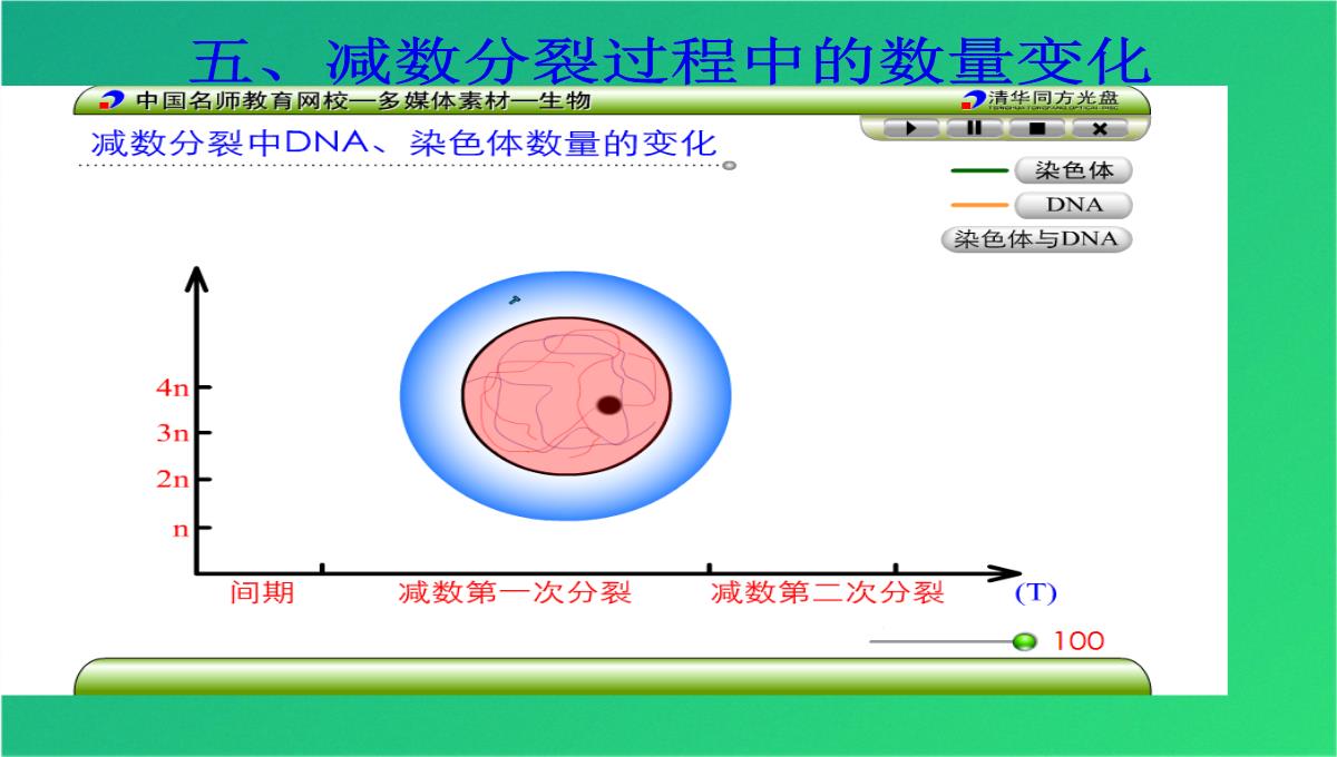 高减数分裂和受精作用(共69张PPT)PPT模板_42