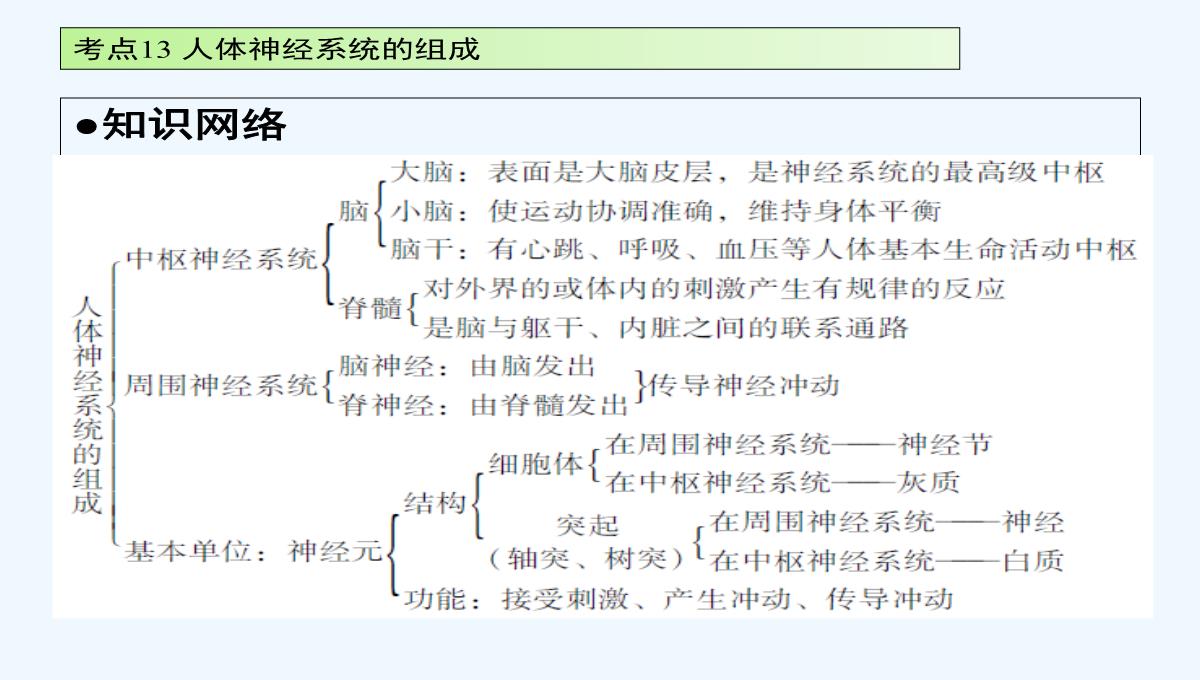 广东省2017届中考生物-第四章节-考点13-人体神经系统的组成温习讲义PPT模板_02