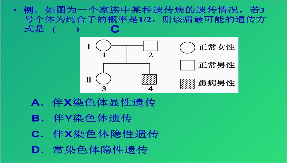 高三人教伴性遗传(共47张PPT)PPT模板_33