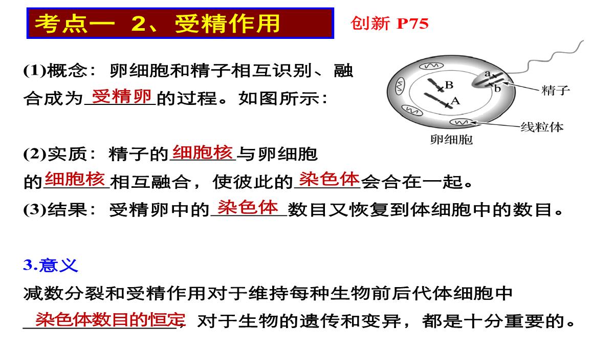 高三一轮复习生物课件：第11讲减数分裂和受精作用PPT模板_27