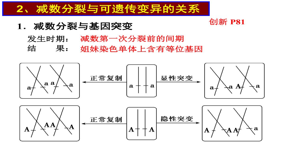 高三一轮复习生物课件：第11讲减数分裂和受精作用PPT模板_39