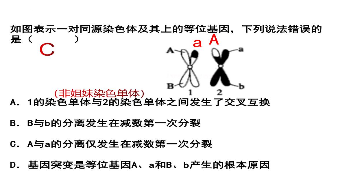 高三一轮复习生物课件：第11讲减数分裂和受精作用PPT模板_42