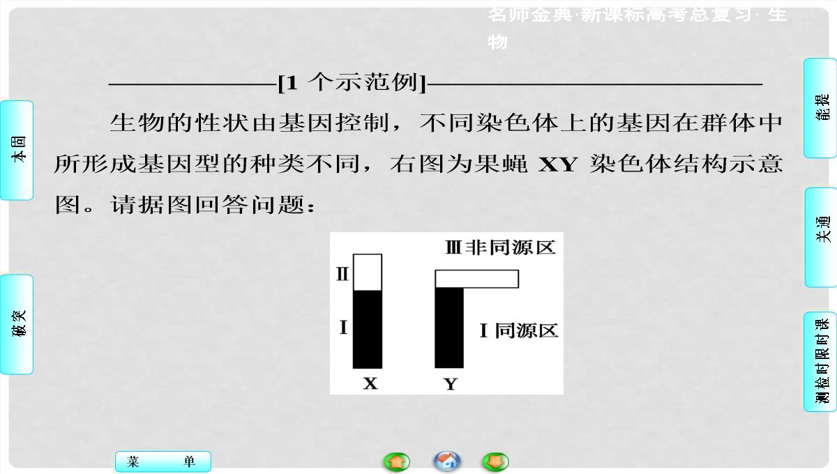 高考生物总复习-第1单元-第3讲-基因在染色体上和伴性遗传课件-新人教版必修2PPT模板_79