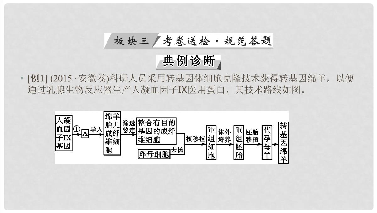 高考生物大一轮复习-第44讲-克隆技术优选课件PPT模板_58