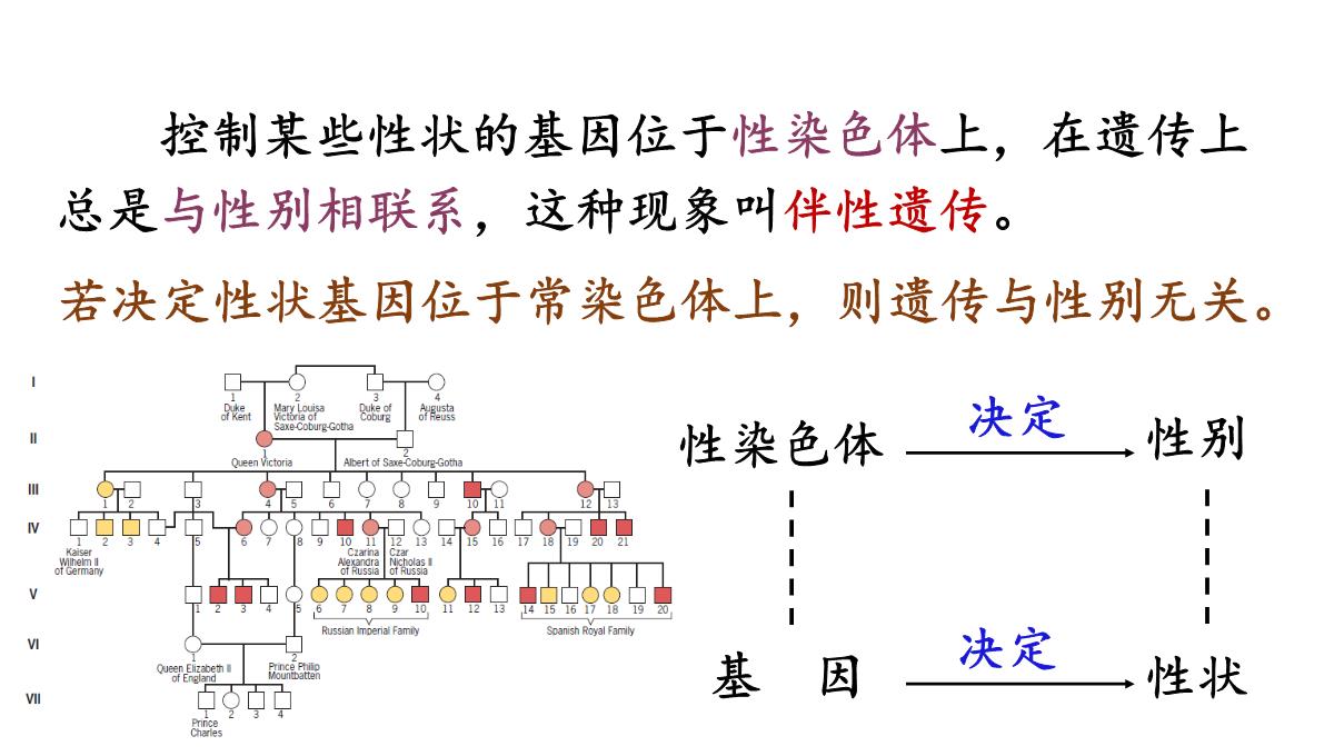 伴性遗传课件高一下学期生物人教版必修2PPT模板_05