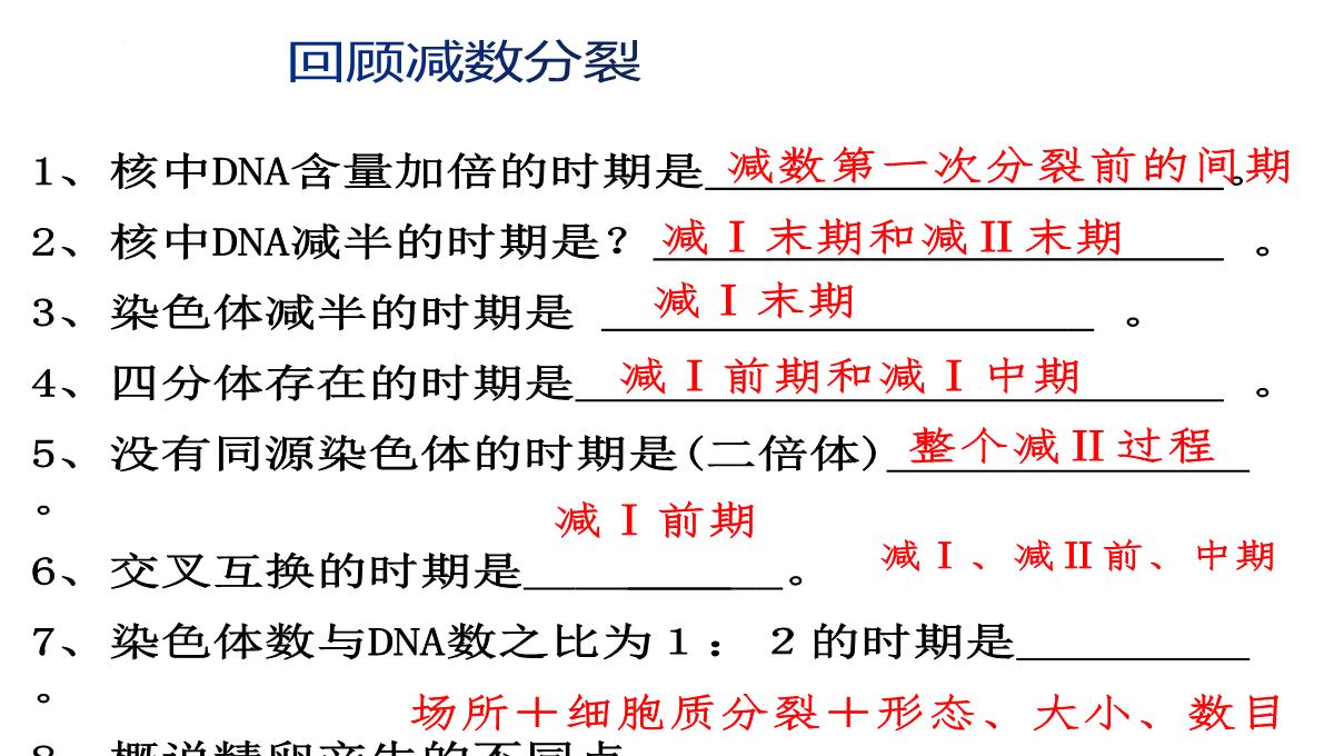 高三一轮复习生物课件：第11讲减数分裂和受精作用PPT模板_19