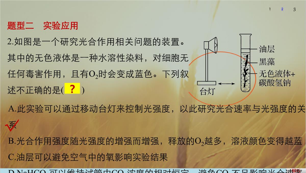 最新-2021版浙江省高考生物课件：第2单元-第10讲-光合作用的影响因素及应用-精品PPT模板_49