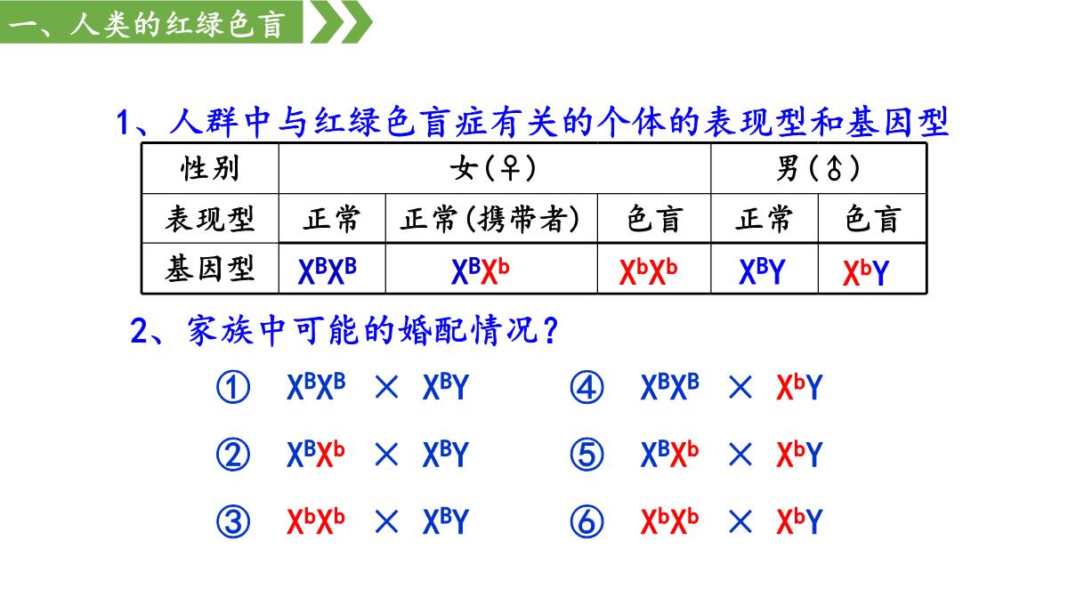 伴性遗传课件高一下学期生物人教版必修2PPT模板_16