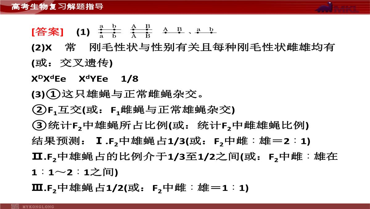 高考专题复习专题4---第3讲--遗传的基因规律、伴性遗传及人类遗传病与优生PPT模板_50