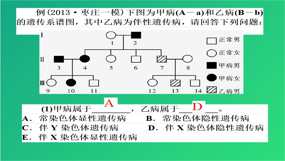 高三人教伴性遗传(共47张PPT)PPT模板_37