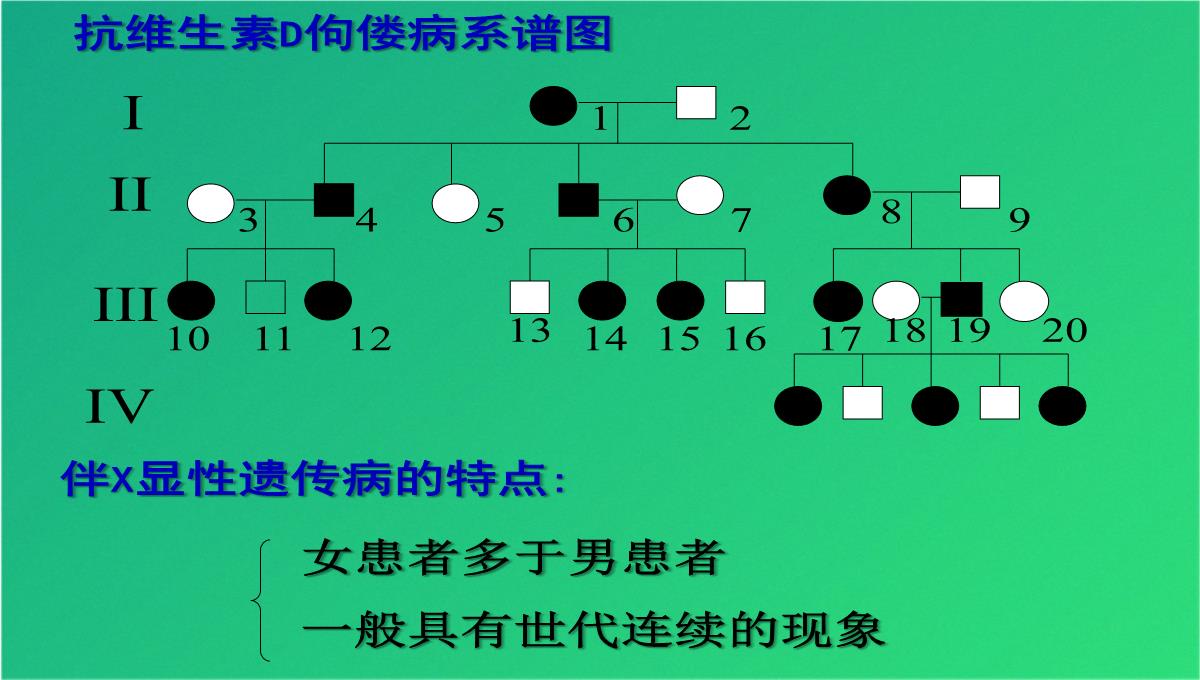 高三人教伴性遗传(共47张PPT)PPT模板_20