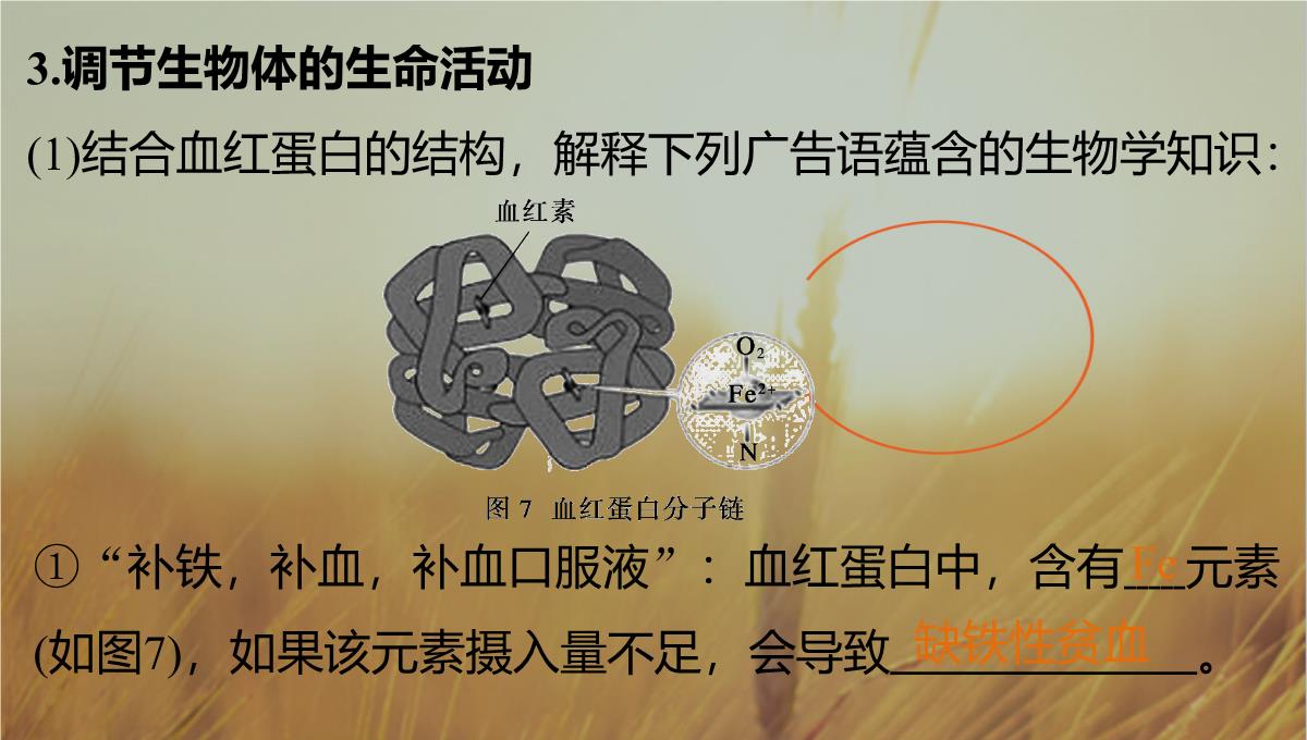 最新-2021生物北师大版必修1课件：第2章-第3课时-组成细胞的元素-精品PPT模板_09