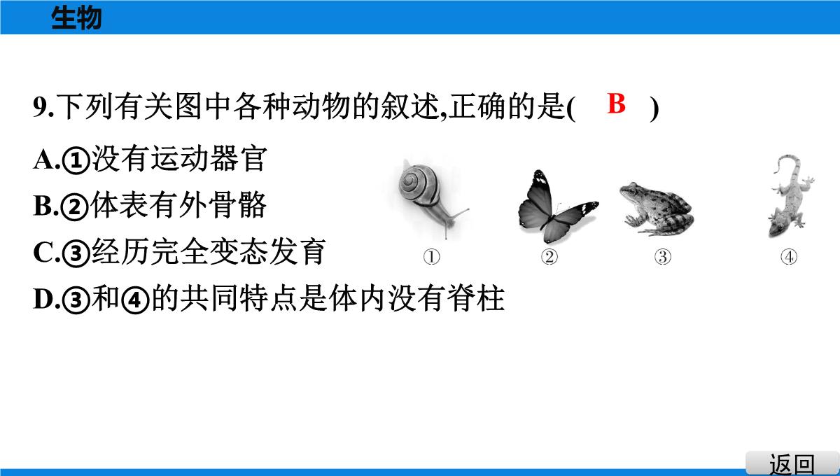 最新人教版中考生物复习第三部分-课标命题必考十大主题-专题四-生物的多样性PPT模板_13