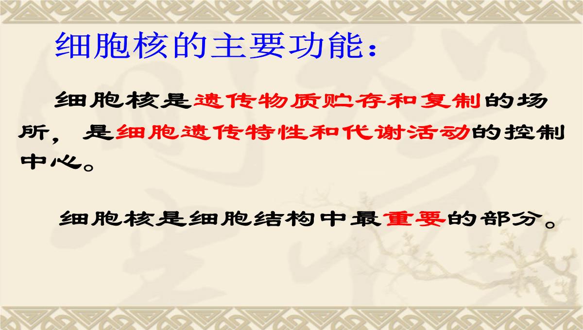 08年河南地区高二生物细胞核的结构和功能资料课件PPT模板_07