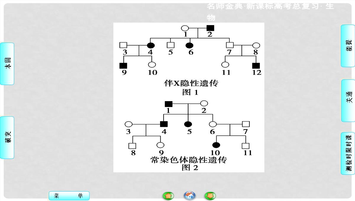 高考生物总复习-第1单元-第3讲-基因在染色体上和伴性遗传课件-新人教版必修2PPT模板_48