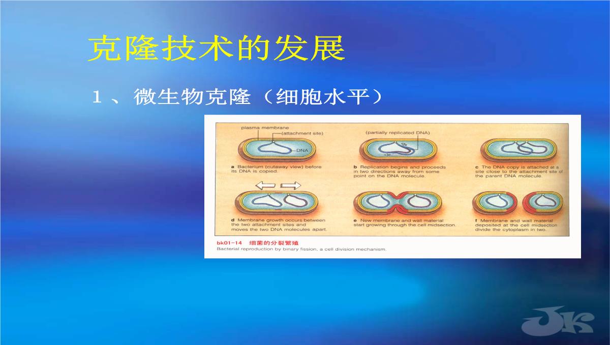 高二生物第二章克隆技术课件浙科版选修3PPT模板_19