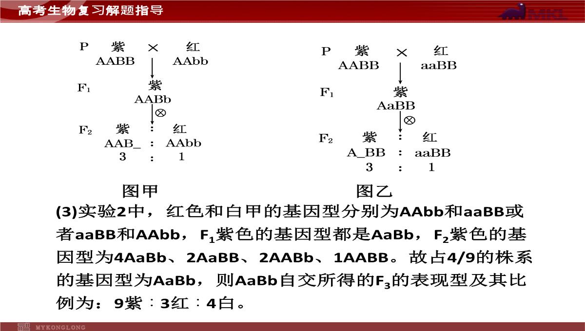 高考专题复习专题4---第3讲--遗传的基因规律、伴性遗传及人类遗传病与优生PPT模板_37