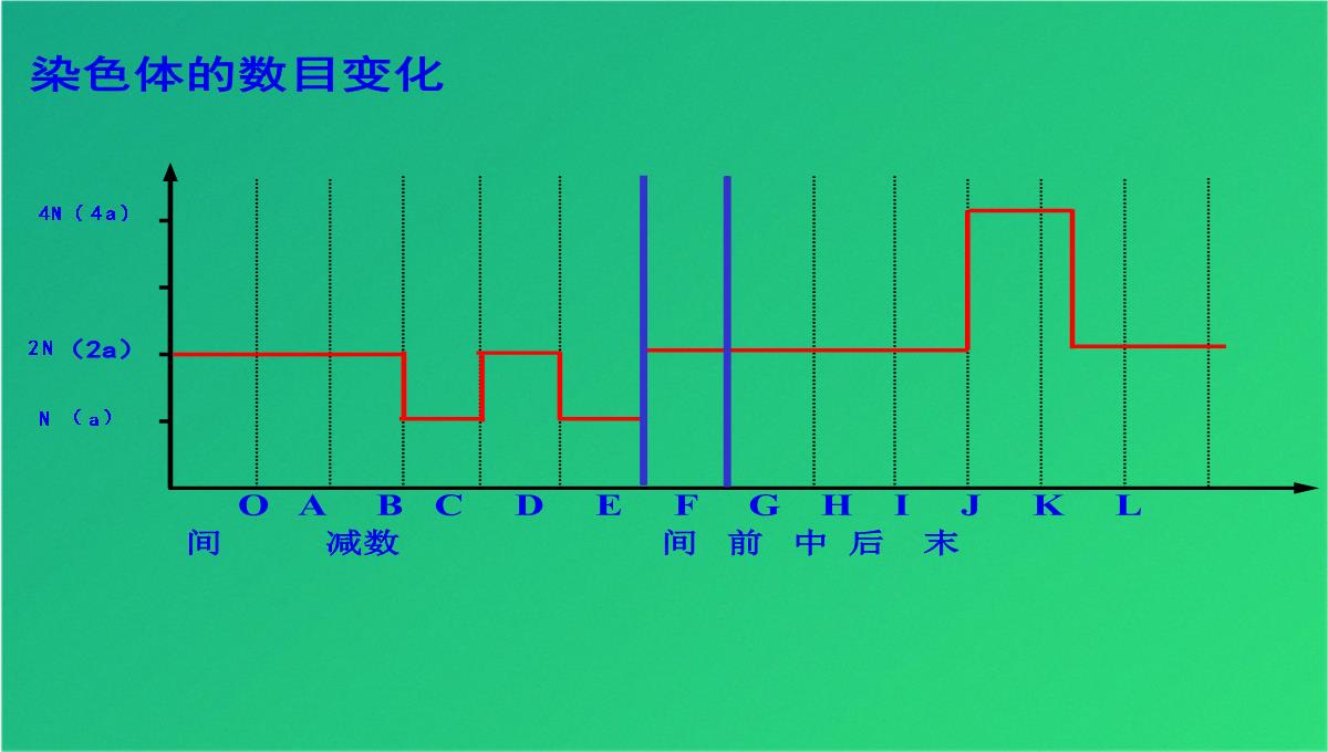 高减数分裂和受精作用(共69张PPT)PPT模板_68