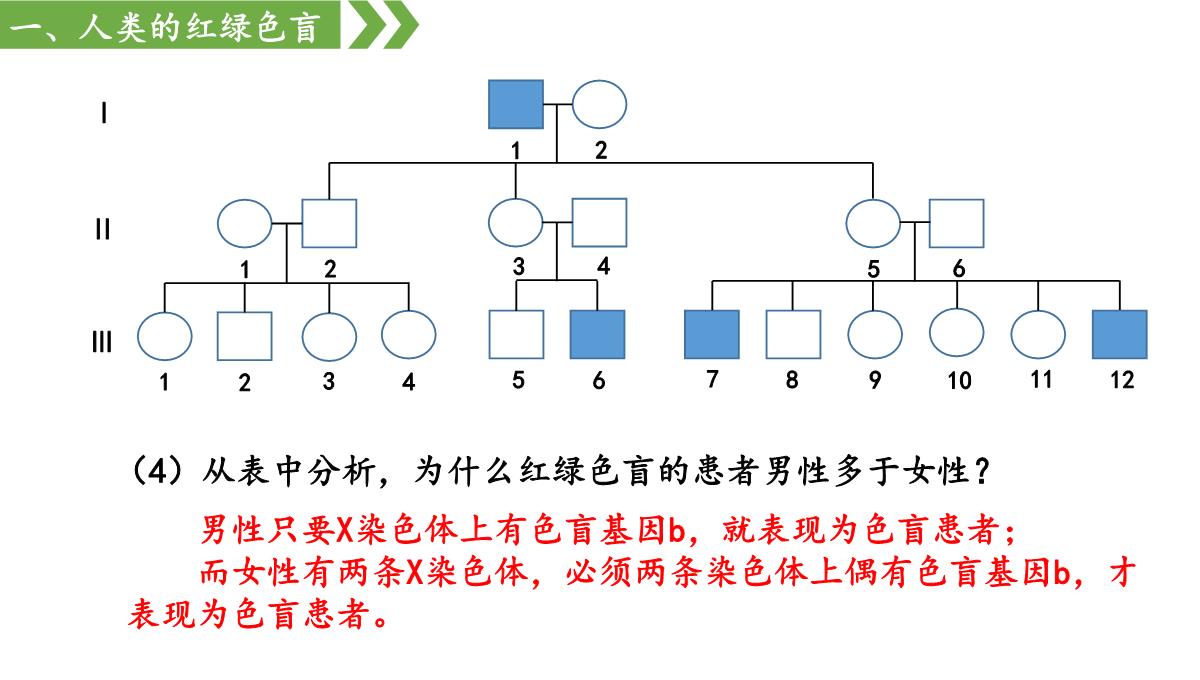 伴性遗传课件高一下学期生物人教版必修2PPT模板_15