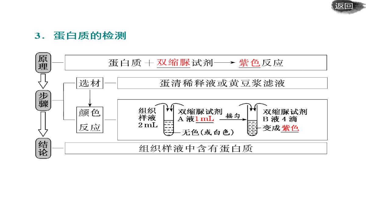 第二讲-组成细胞的元素及无机化合物PPT模板_37