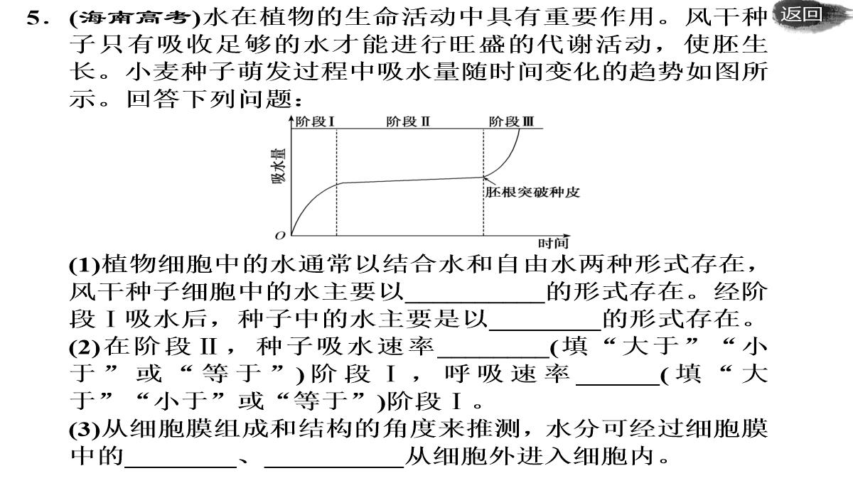 第二讲-组成细胞的元素及无机化合物PPT模板_56