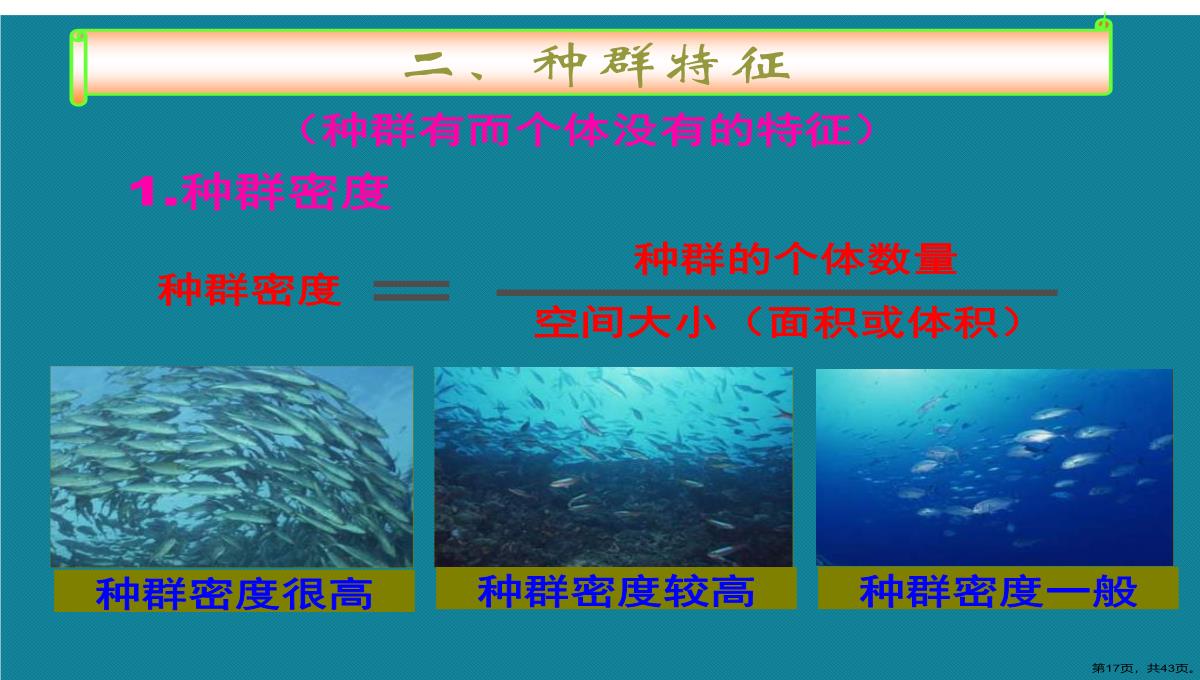 第一节高二生物种群的特征演示文稿PPT模板_17