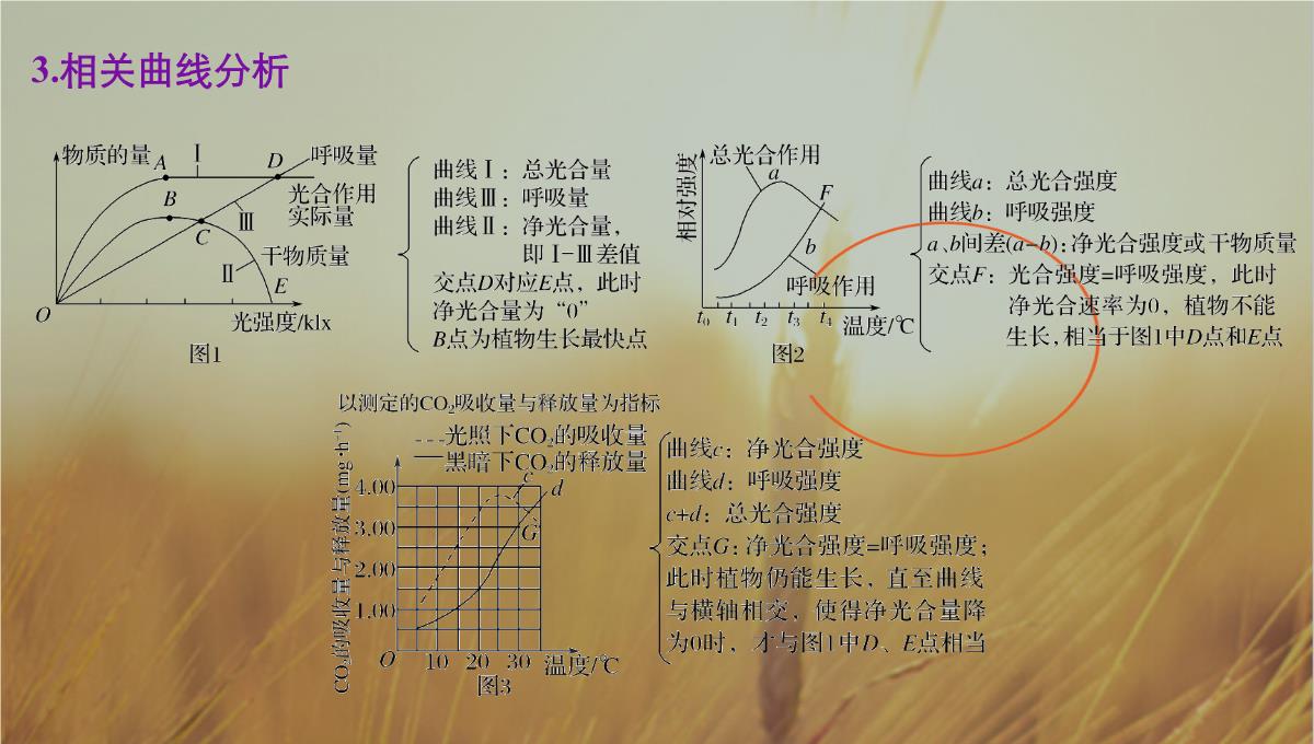 最新-2021版浙江省高考生物课件：第2单元-第10讲-光合作用的影响因素及应用-精品PPT模板_13