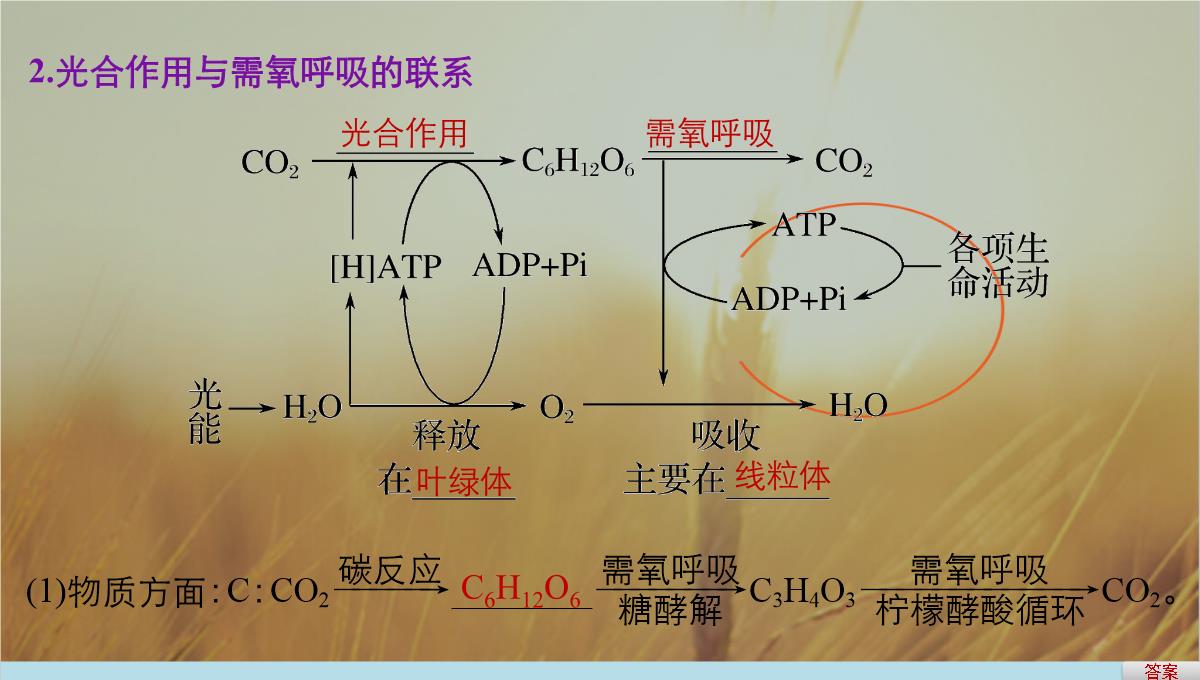 最新-2021版浙江省高考生物课件：第2单元-第10讲-光合作用的影响因素及应用-精品PPT模板_26