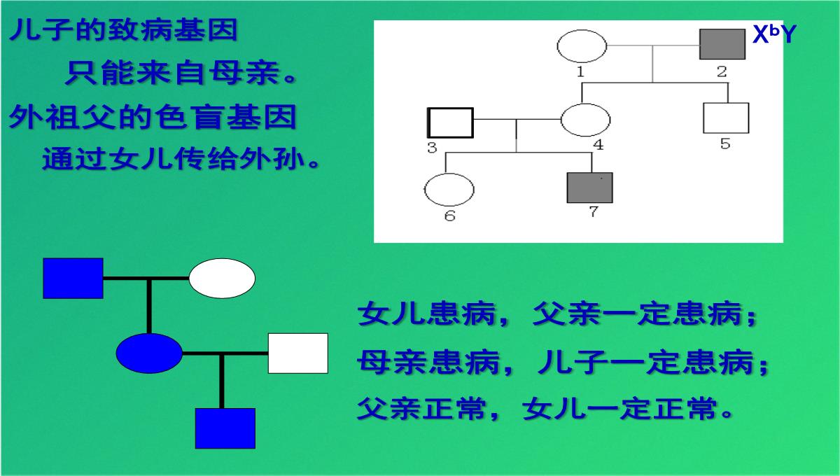 高三人教伴性遗传(共47张PPT)PPT模板_16