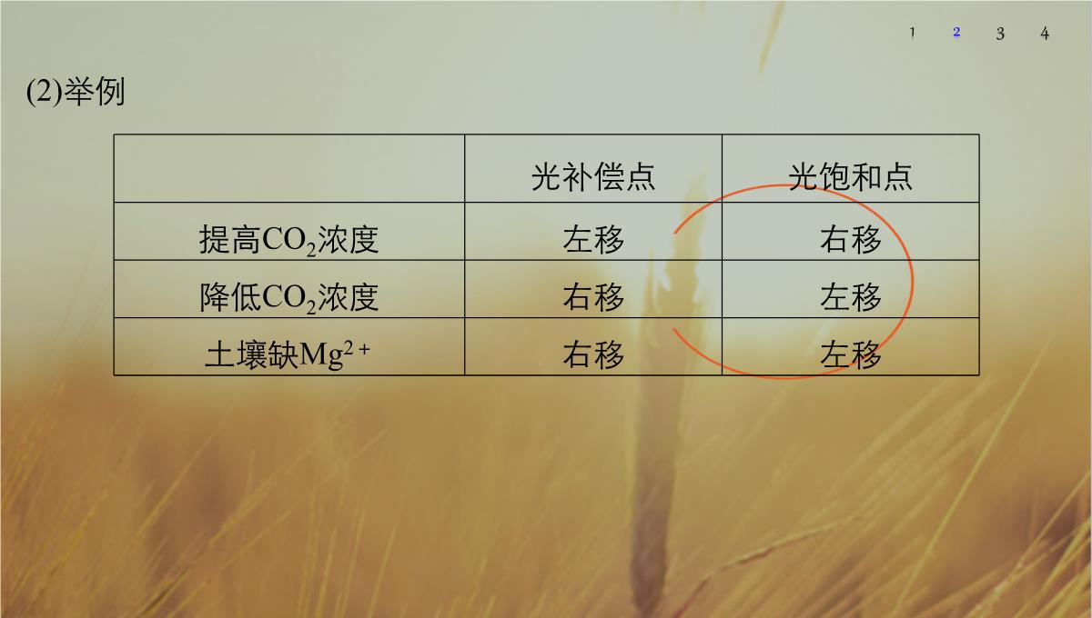 最新-2021版浙江省高考生物课件：第2单元-第10讲-光合作用的影响因素及应用-精品PPT模板_19