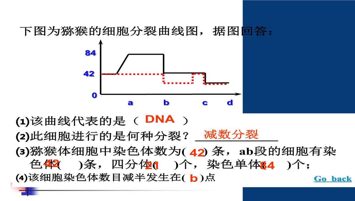 减数分裂和受精作用PPT模板_156