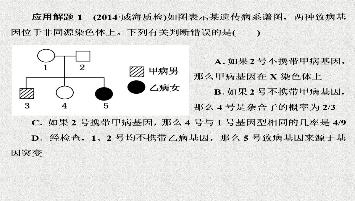 2015届高考生物(人教版通用)总复习教学课件：第17讲-基因在染色体上和伴性遗传PPT模板_45