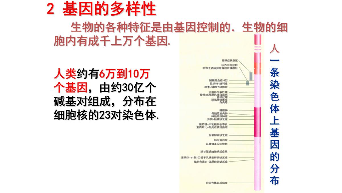 《认识生物的多样性》PPT精品课件PPT模板_44