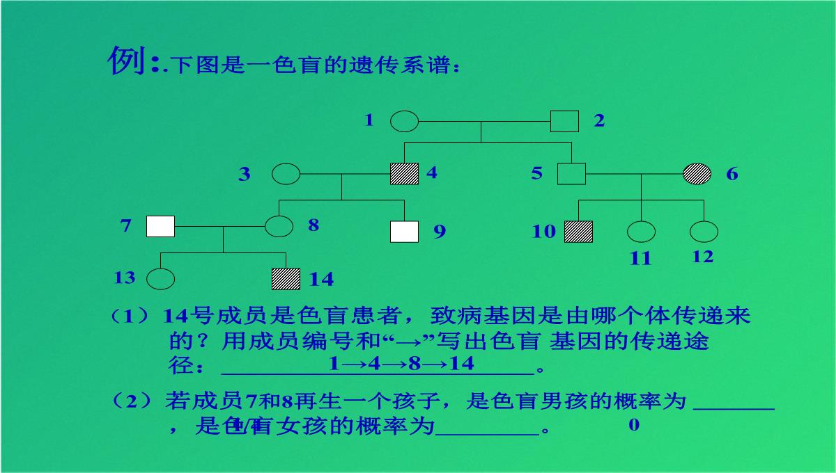 高三人教伴性遗传(共47张PPT)PPT模板_17