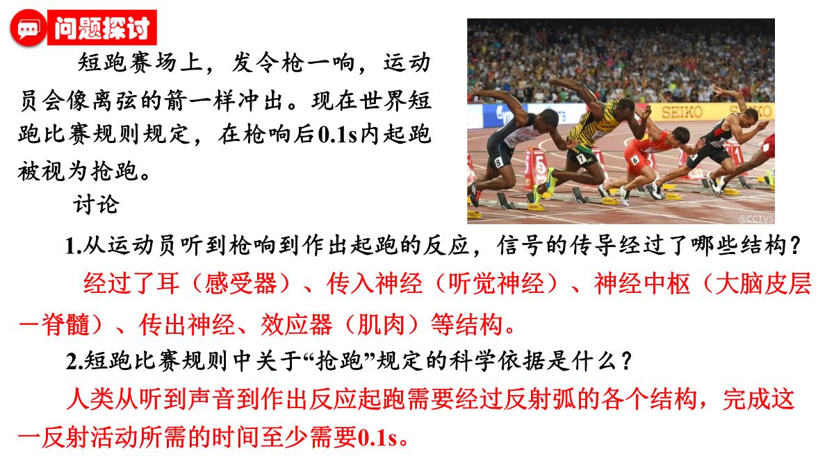 神经冲动的产生和传导课件2021-2022学年高二上学期生物人教版选择性必修一PPT模板