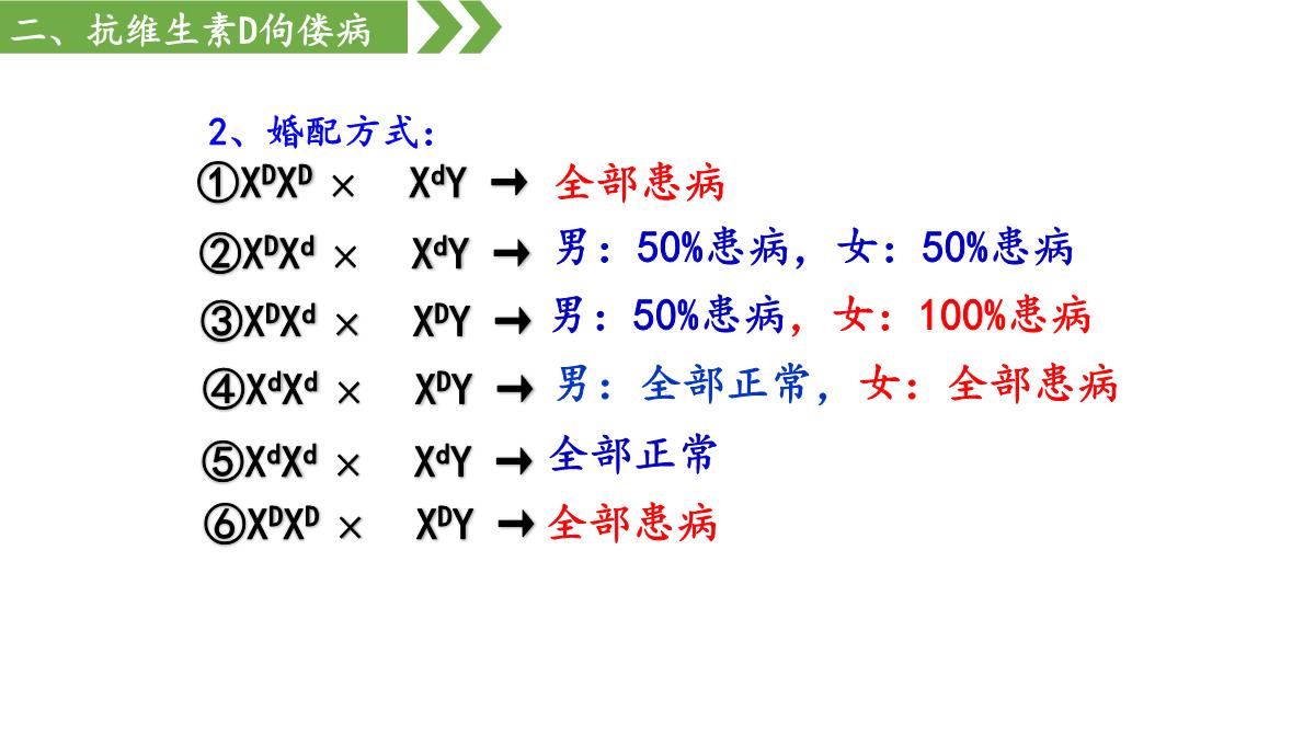 伴性遗传课件高一下学期生物人教版必修2PPT模板_30
