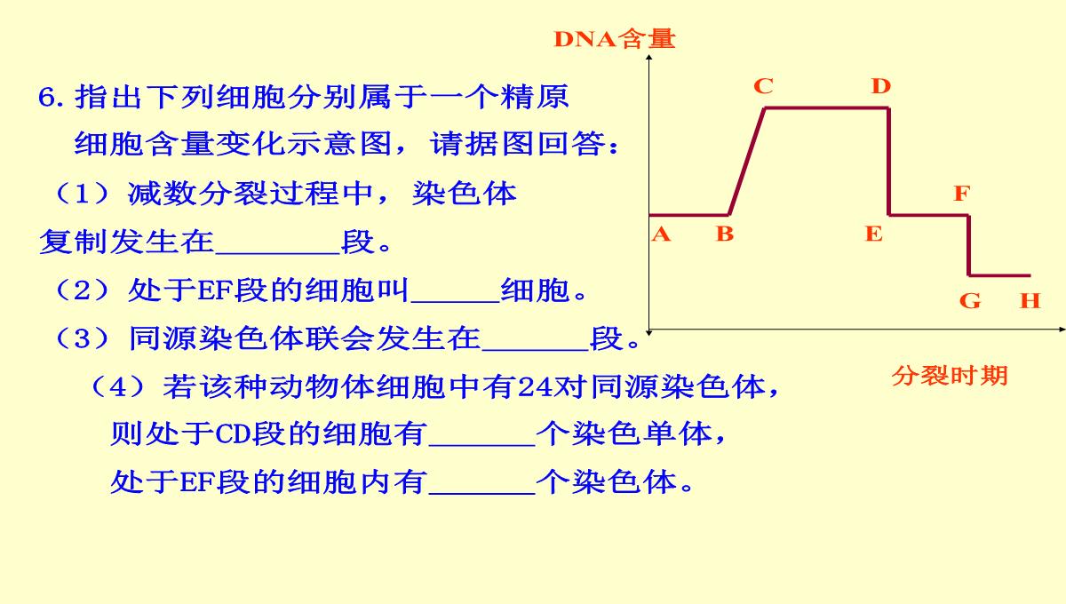 减数分裂和受精作用PPT模板_198