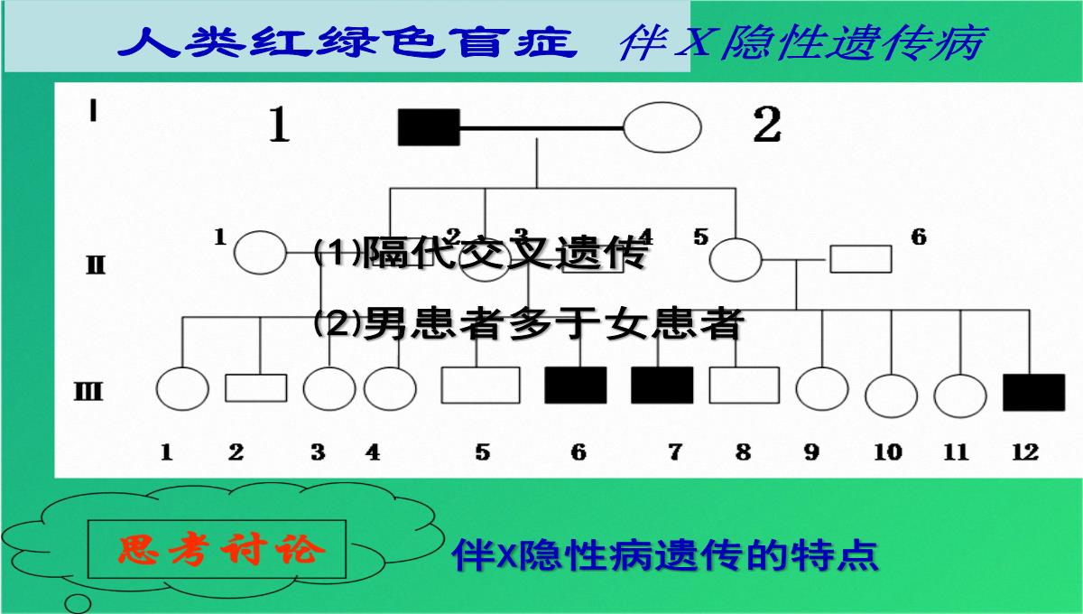 高三人教伴性遗传(共47张PPT)PPT模板_14