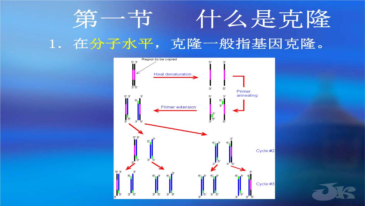 高二生物第二章克隆技术课件浙科版选修3PPT模板_14