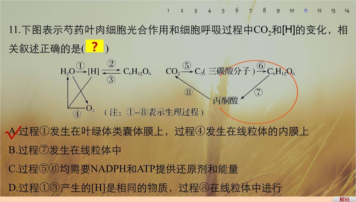 最新-2021版浙江省高考生物课件：第2单元-第10讲-光合作用的影响因素及应用-精品PPT模板_87