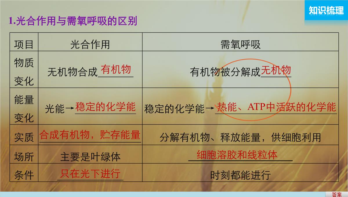 最新-2021版浙江省高考生物课件：第2单元-第10讲-光合作用的影响因素及应用-精品PPT模板_25