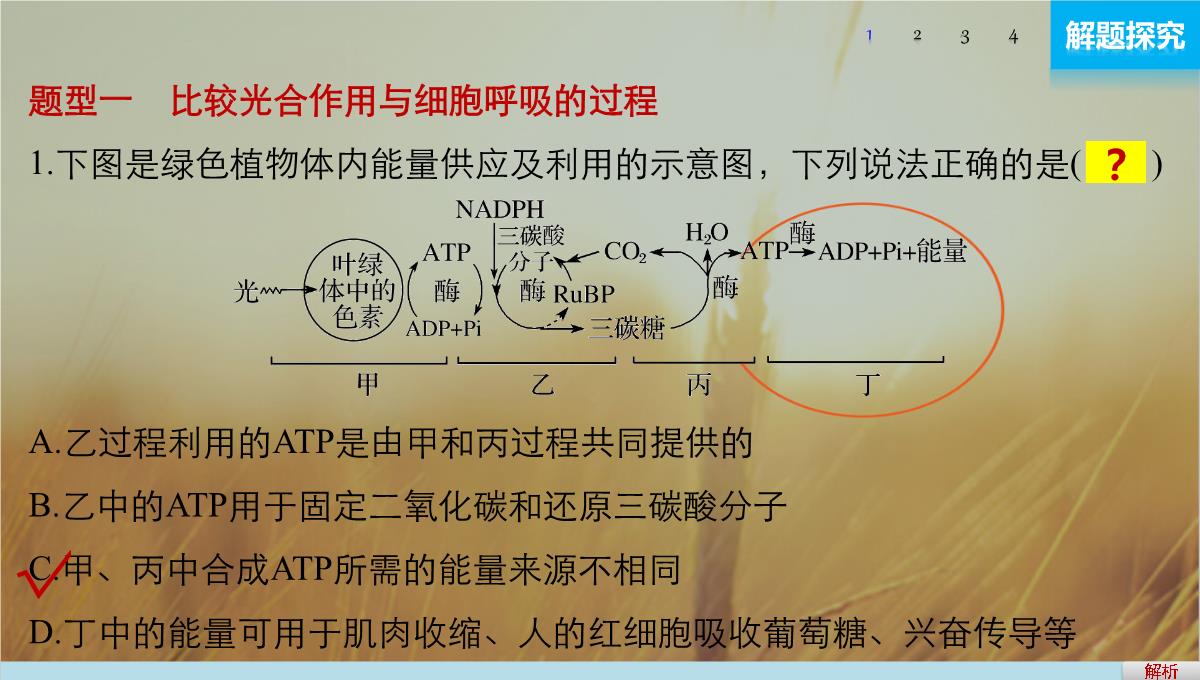 最新-2021版浙江省高考生物课件：第2单元-第10讲-光合作用的影响因素及应用-精品PPT模板_32