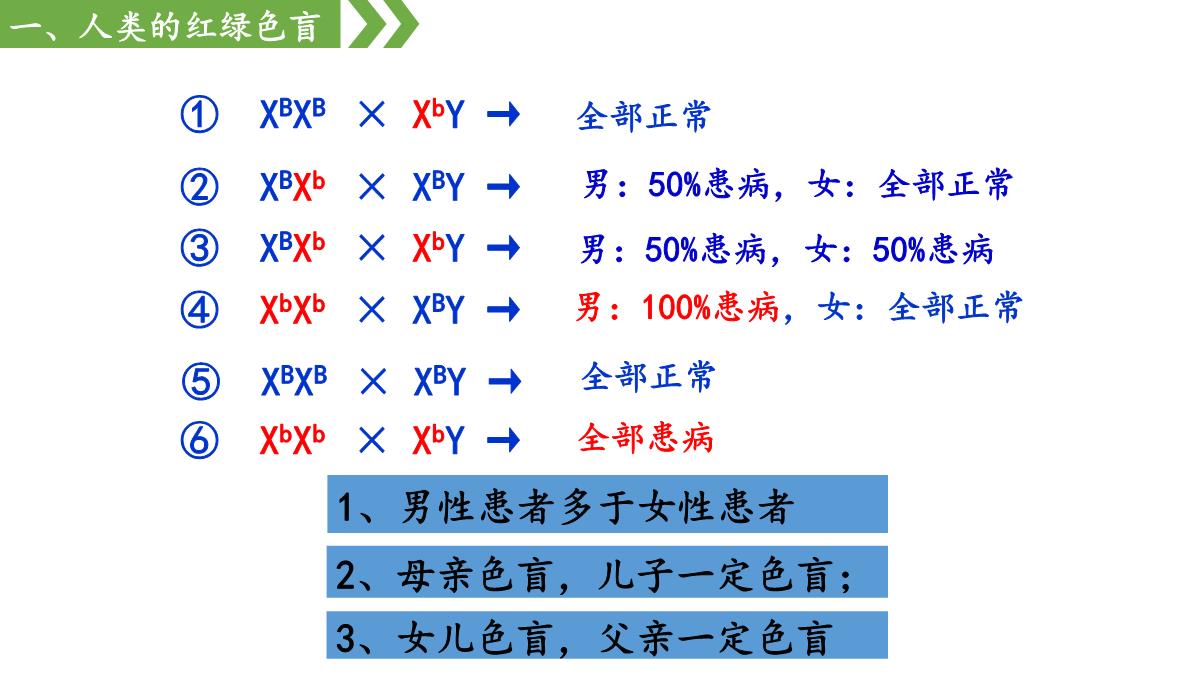 伴性遗传课件高一下学期生物人教版必修2PPT模板_17