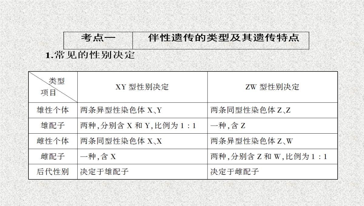 2015届高考生物(人教版通用)总复习教学课件：第17讲-基因在染色体上和伴性遗传PPT模板_16