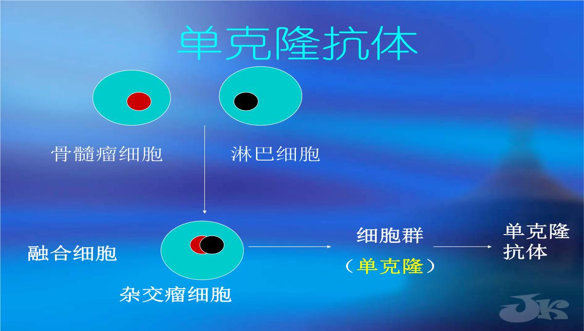 高二生物第二章克隆技术课件浙科版选修3PPT模板_16