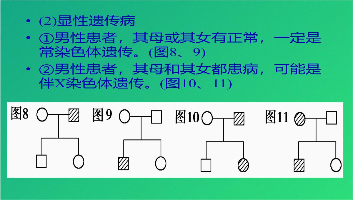 高三人教伴性遗传(共47张PPT)PPT模板_31