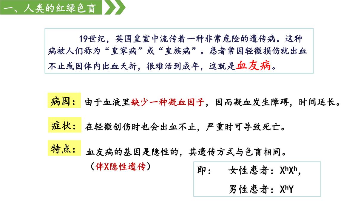 伴性遗传课件高一下学期生物人教版必修2PPT模板_24